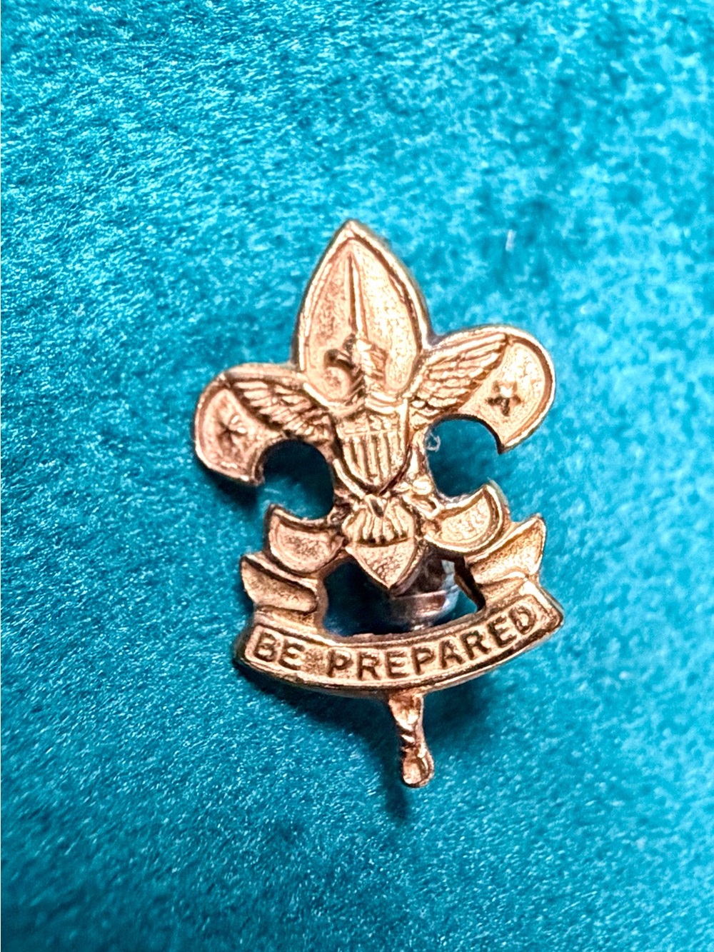 Vintage Boy Scouts of America First Class Rank Emblem Pin